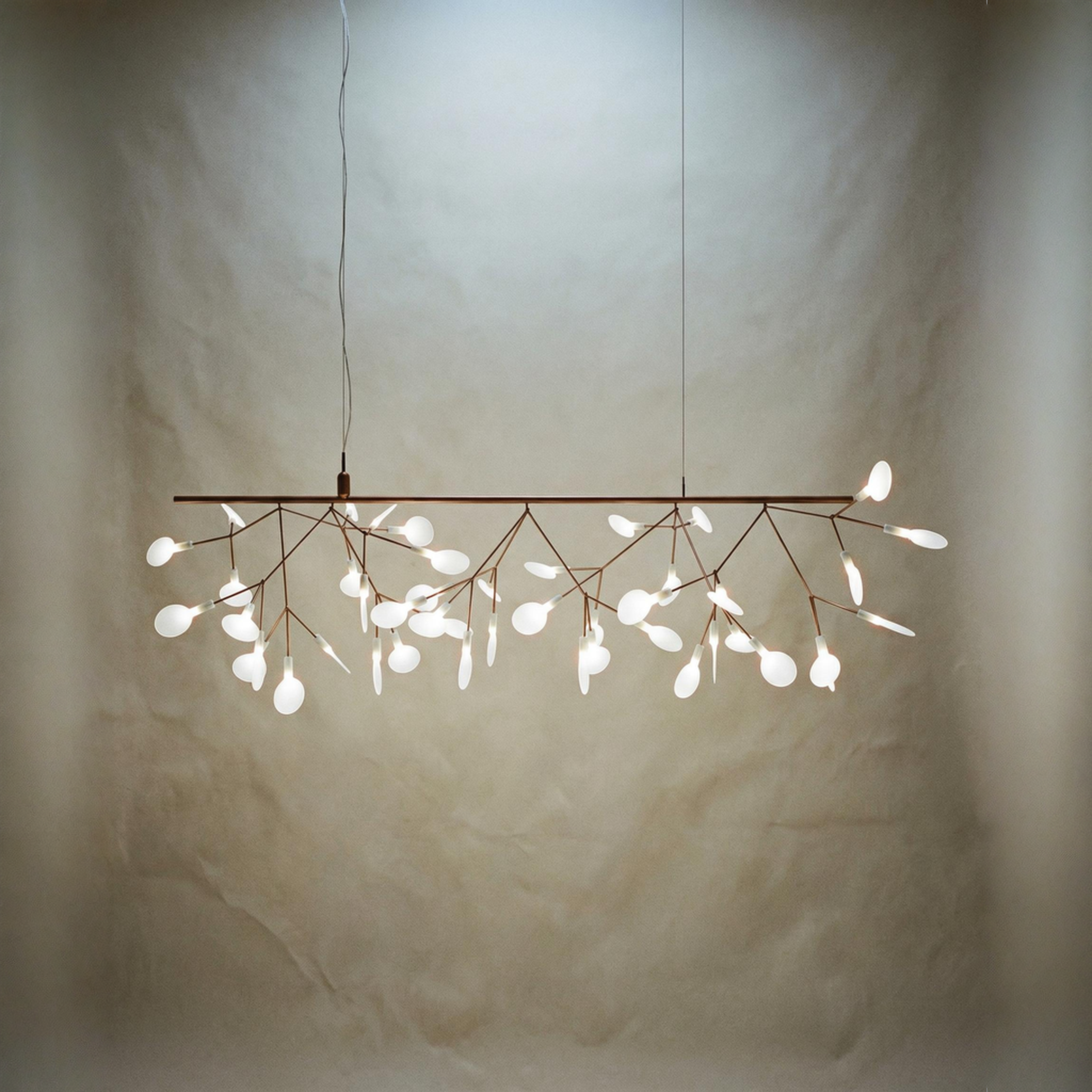 Heracleum III Endless