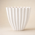 Cactus Vase - Off-White