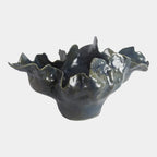 Meteor Bowl