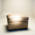 Burton Ottoman
