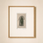 Neutral and Taupe Abstracts