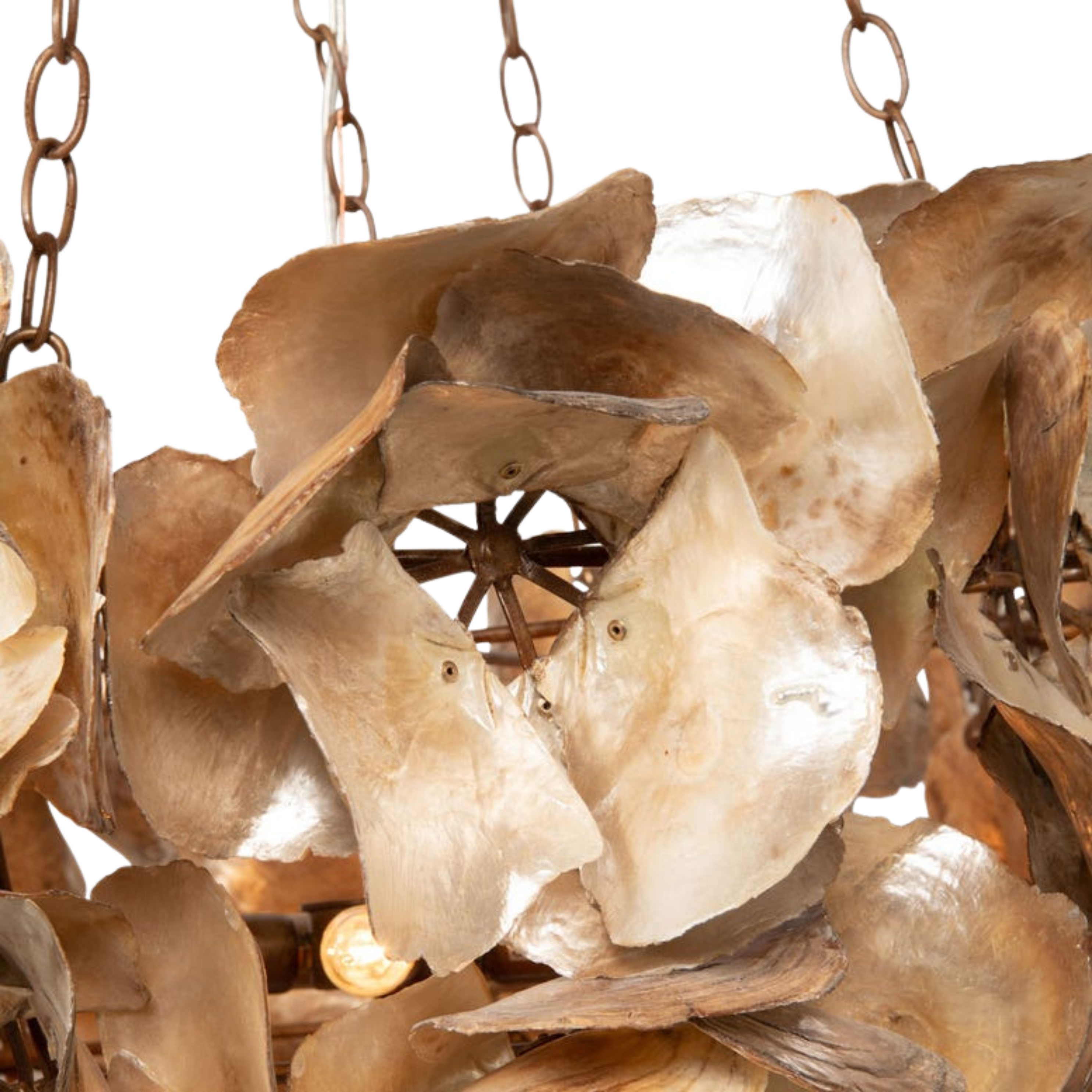 Venus Chandelier
