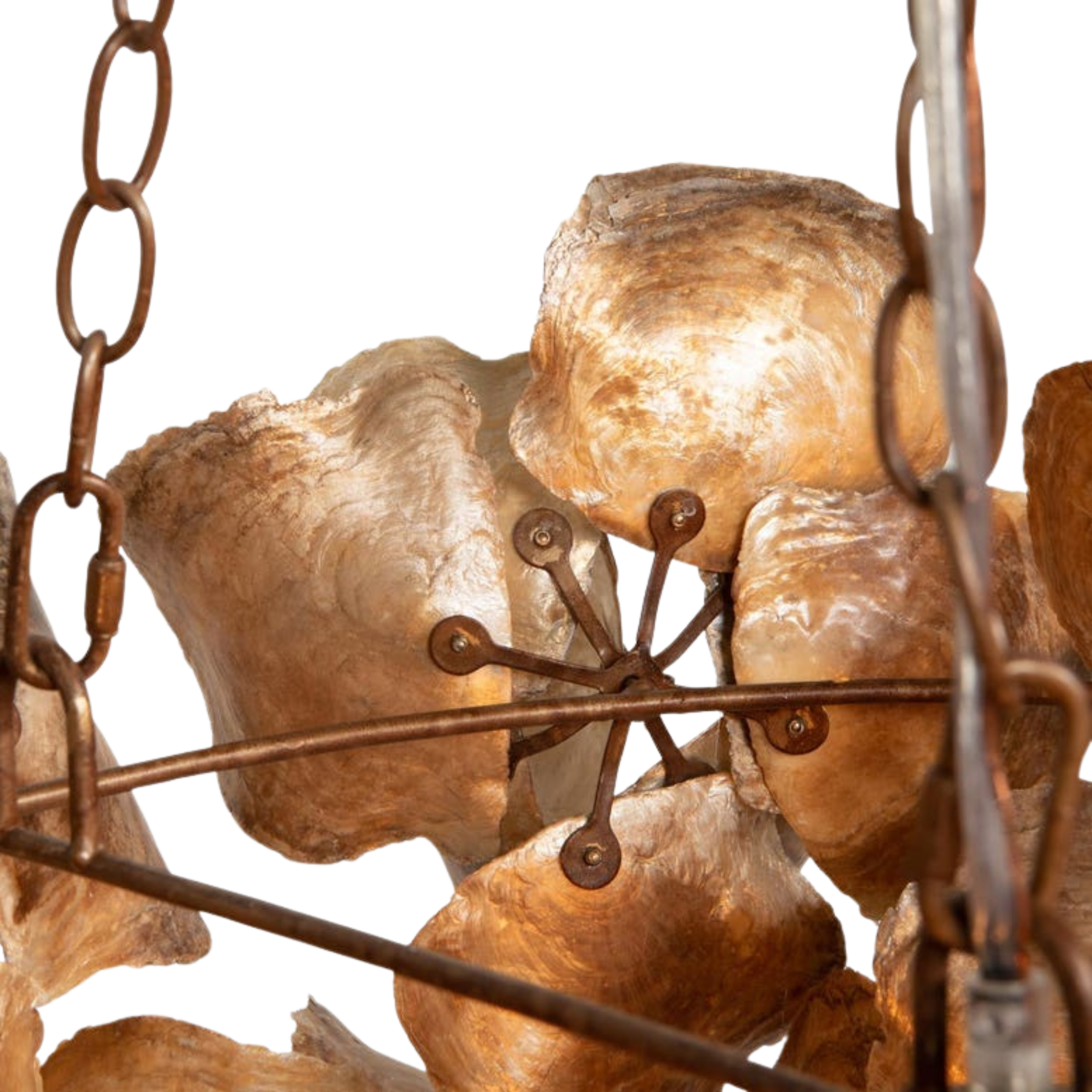 Venus Chandelier